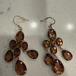 Elegant Brown Dangle Earrings
